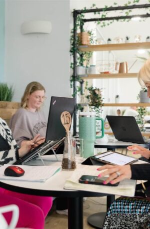 group of woman sat working together on laptops in relaxing cafe space